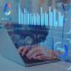 A Hist ria N o Contada de um Data Analytics Manager no Brasil Como Bees Brasil Est Redefinindo o Futuro dos Neg cios em Indaiatuba