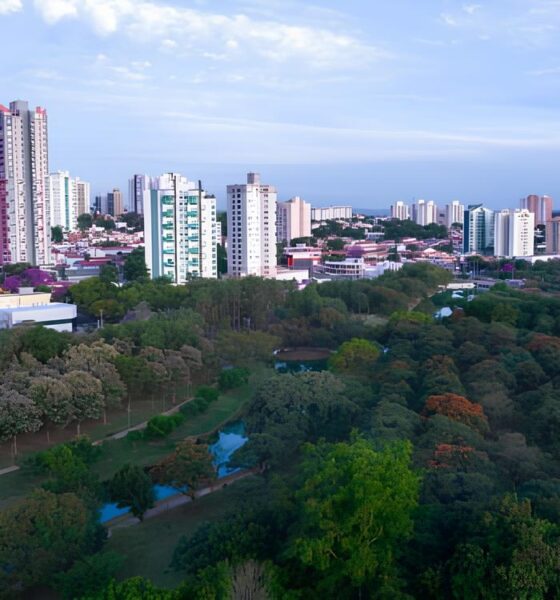 Como Cidades Pequenas do Interior de São Paulo Estão Virando Referência Mundial em Segurança Pública 16 Como Cidades Pequenas do Interior de S o Paulo Est o Virando Refer ncia Mundial em Seguran a P blica
