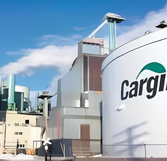 Como Transformar o Futuro da Bovinocultura de Corte no Brasil: A Jornada do Consultor Técnico Regional na Cargill 16 Como Transformar o Futuro da Bovinocultura de Corte no Brasil A Jornada do Consultor T cnico Regional na Cargill
