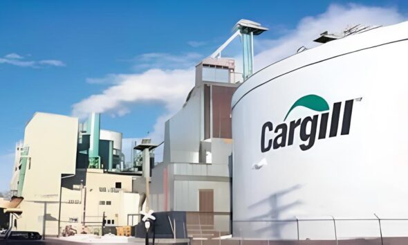 Como Transformar o Futuro da Bovinocultura de Corte no Brasil A Jornada do Consultor T cnico Regional na Cargill