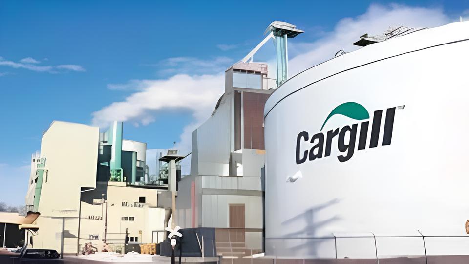 Como Transformar o Futuro da Bovinocultura de Corte no Brasil: A Jornada do Consultor Técnico Regional na Cargill 15 Como Transformar o Futuro da Bovinocultura de Corte no Brasil A Jornada do Consultor T cnico Regional na Cargill