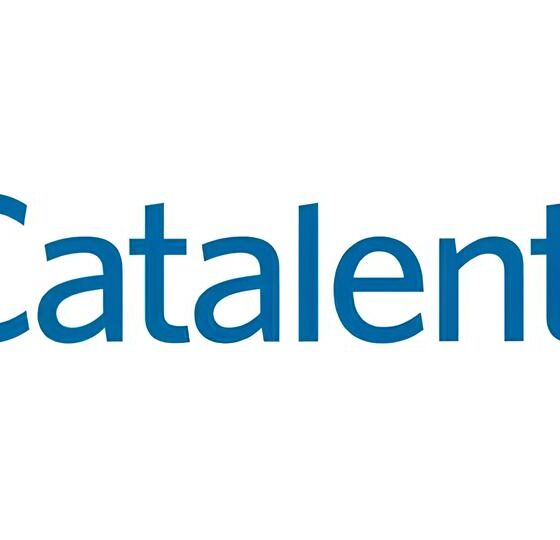 Descubra Como Se Tornar o Analista de Desenvolvimento Analítico Pleno dos Sonhos da Catalent: Uma Oportunidade Única em Indaiatuba 16 Descubra Como Se Tornar o Analista de Desenvolvimento Anal tico Pleno dos Sonhos da Catalent Uma Oportunidade nica em Indaiatuba