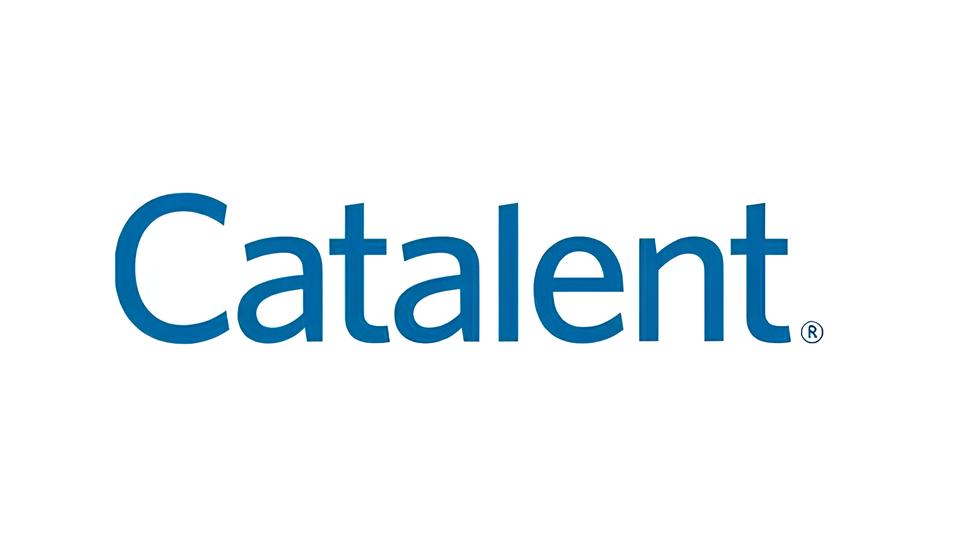 Descubra Como Se Tornar o Analista de Desenvolvimento Anal tico Pleno dos Sonhos da Catalent Uma Oportunidade nica em Indaiatuba