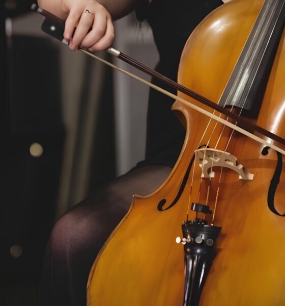 O Concerto Que Vai Transformar Indaiatuba em Um Palco de Emoções: A Música Clássica Moderna Chega ao Teatro Piano 16 O Concerto Que Vai Transformar Indaiatuba em Um Palco de Emo es A M sica Cl ssica Moderna Chega ao Teatro Piano