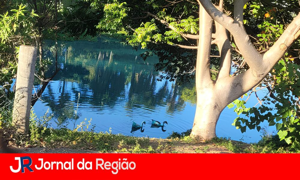 O Dia em que o Azul Invadiu Jundia Um Caso de Neglig ncia Ambiental que Pintou um Lago e Deixou o Brasil de Olhos Arregalados