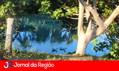 O Dia em que o Azul Invadiu Jundia Um Caso de Neglig ncia Ambiental que Pintou um Lago e Deixou o Brasil de Olhos Arregalados