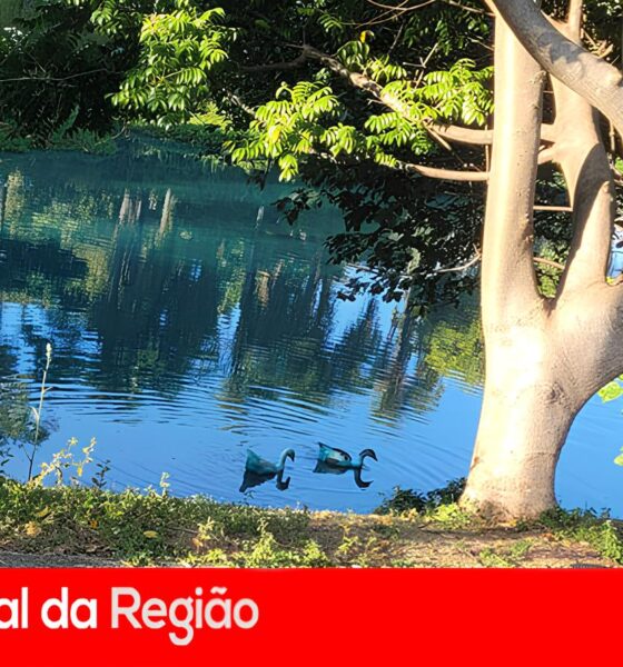 O Dia em que o Azul Invadiu Jundiaí: Um Caso de Negligência Ambiental que Pintou um Lago e Deixou o Brasil de Olhos Arregalados 16 O Dia em que o Azul Invadiu Jundia Um Caso de Neglig ncia Ambiental que Pintou um Lago e Deixou o Brasil de Olhos Arregalados