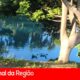 O Dia em que o Azul Invadiu Jundia Um Caso de Neglig ncia Ambiental que Pintou um Lago e Deixou o Brasil de Olhos Arregalados