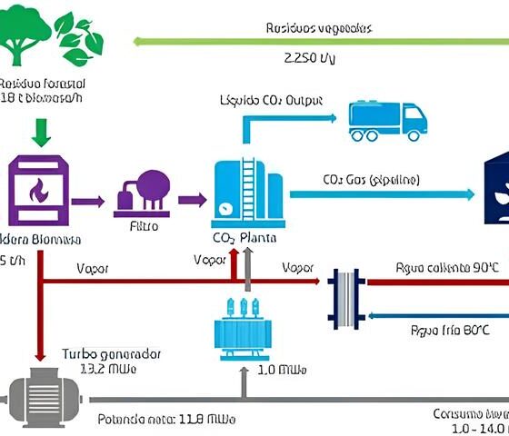 O Impacto Invisível no Céu: Como o Corte de Voos Diretos Está Aquecendo o Planeta 16 O Impacto Invis vel no C u Como o Corte de Voos Diretos Est Aquecendo o Planeta