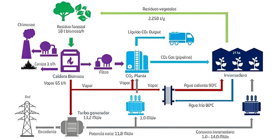 O Impacto Invisível no Céu: Como o Corte de Voos Diretos Está Aquecendo o Planeta 15 O Impacto Invis vel no C u Como o Corte de Voos Diretos Est Aquecendo o Planeta