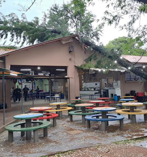 Quando a Natureza Invade: O Dia em que uma Árvore Transformou uma Escola de Piracicaba 16 Quando a Natureza Invade O Dia em que uma rvore Transformou uma Escola de Piracicaba