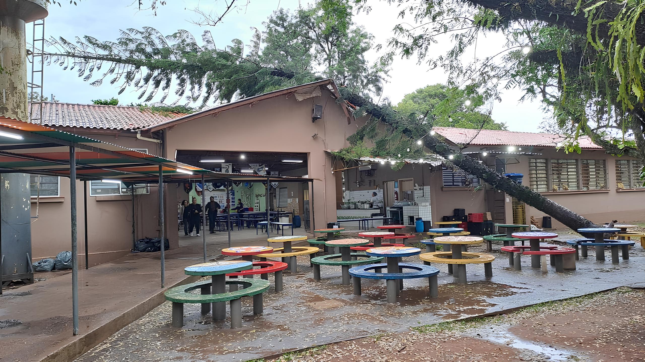 Quando a Natureza Invade: O Dia em que uma Árvore Transformou uma Escola de Piracicaba 15 Quando a Natureza Invade O Dia em que uma rvore Transformou uma Escola de Piracicaba