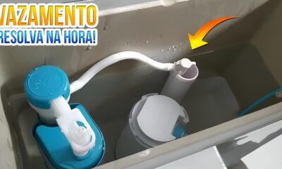 Quando a Natureza se Tinge de Azul O Caso do Vazamento que Pintou um Lago e Animais em Jundia