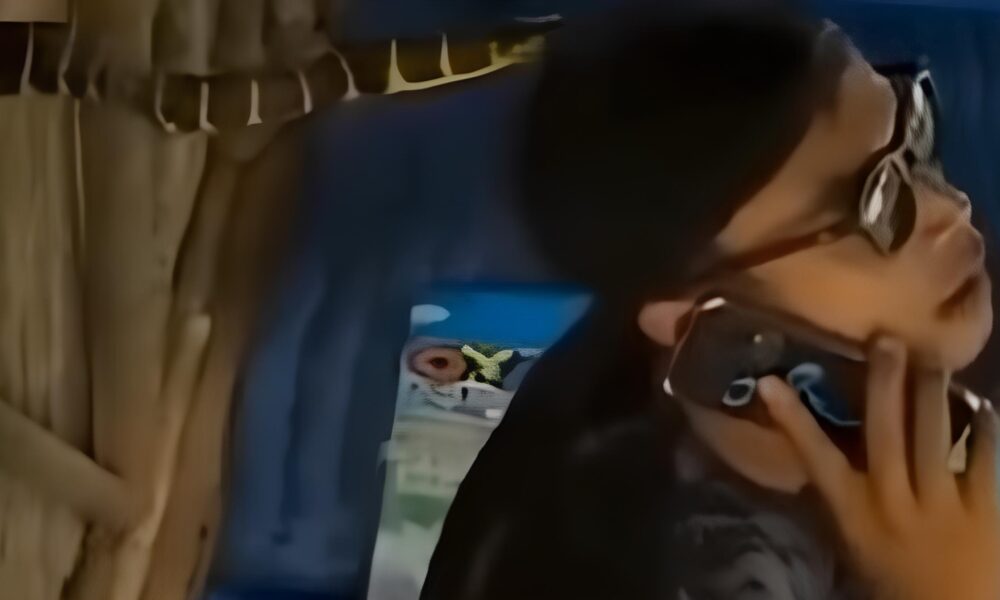 Quando o Acaso Salva Vidas Como um Simples Bon Foi Her i Contra uma Cobra Venenosa na Selva