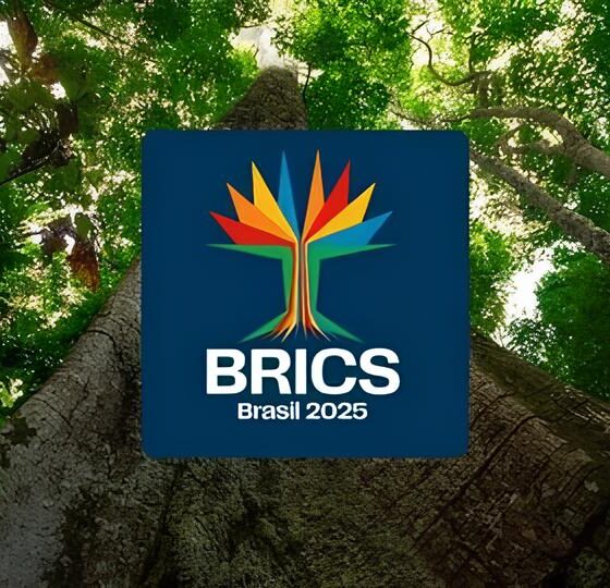 São Paulo e Rio de Janeiro: O Duopólio Aéreo que Define o Turismo Brasileiro em 2025 16 S o Paulo e Rio de Janeiro O Duop lio A reo que Define o Turismo Brasileiro em 2025