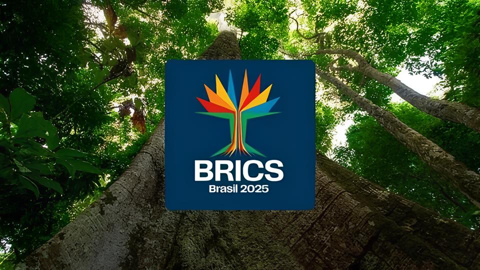 São Paulo e Rio de Janeiro: O Duopólio Aéreo que Define o Turismo Brasileiro em 2025 15 S o Paulo e Rio de Janeiro O Duop lio A reo que Define o Turismo Brasileiro em 2025