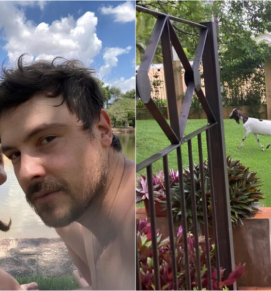 Sergio Guiz e Bianca Bin Como a Natureza Molda o Equil brio Perfeito Entre Carreira e Paz Interior