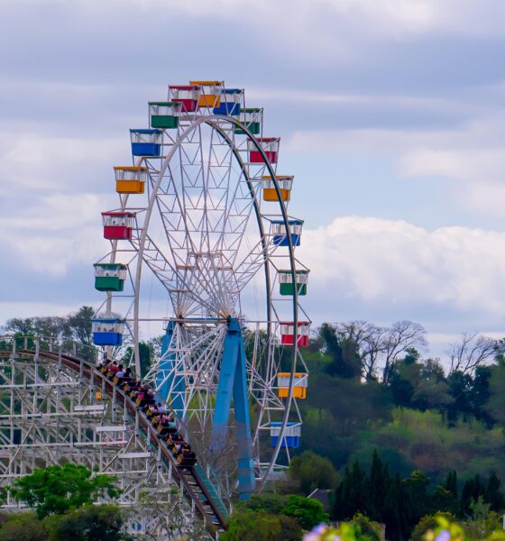 Advogados no Hopi Hari O Dia em que a Justi a Encontrou a Alegria
