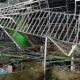 Arquibancada Desaba em Eldorado O Momento que Paralisou o Brasil