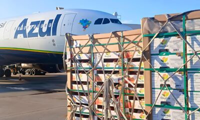 Como Azul TAAG e Turkish Airlines Est o Transformando o C u A Nova Era dos Voos Internacionais