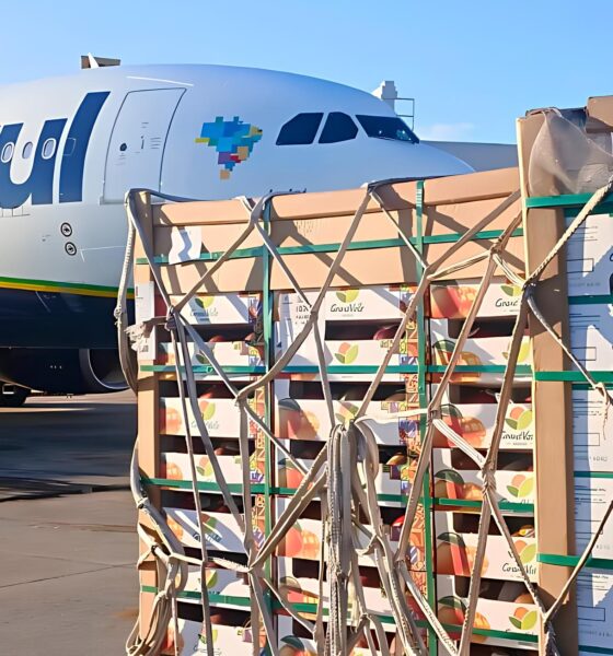 Como Azul TAAG e Turkish Airlines Est o Transformando o C u A Nova Era dos Voos Internacionais