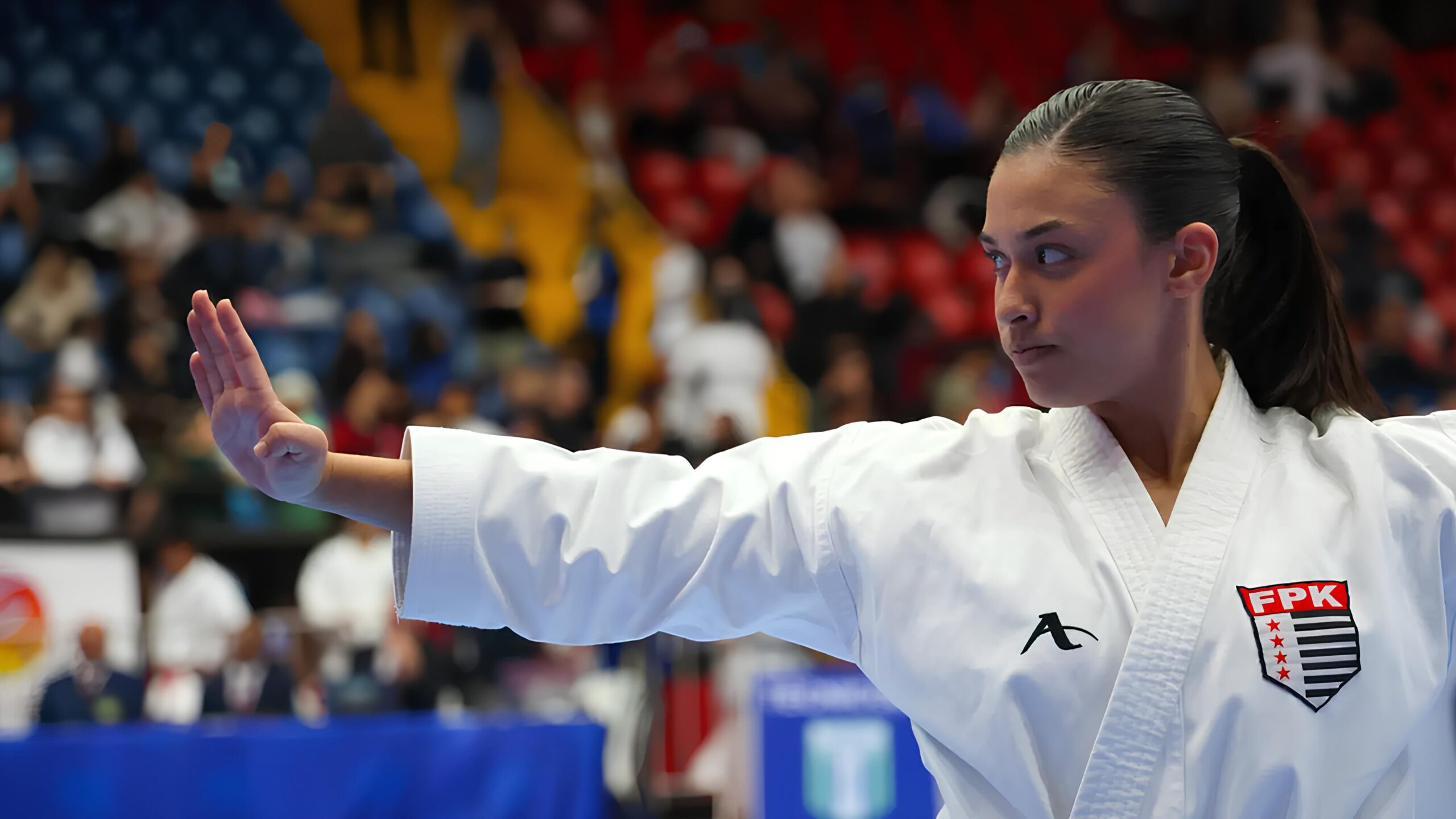 Como Marcela Romão Está Revolucionando o Karatê Brasileiro e Inspira Gerações 8 Como Marcela Rom o Est Revolucionando o Karat Brasileiro e Inspira Gera es scaled