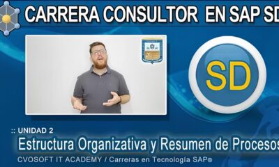 Como Transformar sua Carreira em Tecnologia A Vaga de Consultor SAP SD Senior na Netvagas sua Porta de Entrada
