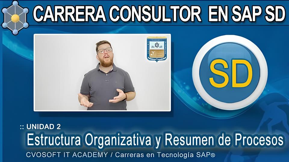Como Transformar sua Carreira em Tecnologia A Vaga de Consultor SAP SD Senior na Netvagas sua Porta de Entrada