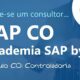 Descubra Como Conquistar a Vaga dos Sonhos Consultor SAP SD S nior em Indaiatuba