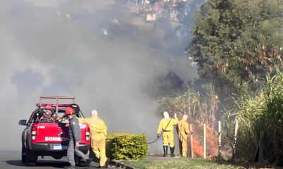 Fogo nas Veias da Terra O Drama das Queimadas na Regi o Metropolitana de Campinas