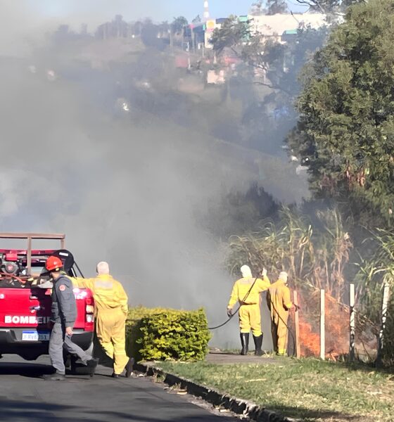 Fogo nas Veias da Terra: O Drama das Queimadas na Região Metropolitana de Campinas 16 Fogo nas Veias da Terra O Drama das Queimadas na Regi o Metropolitana de Campinas