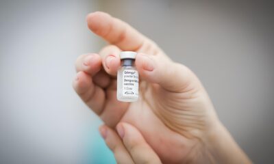 Hortol ndia Contra a Dengue Entre Vacinas Mosquitos e Mortes A Batalha N o Est Ganha