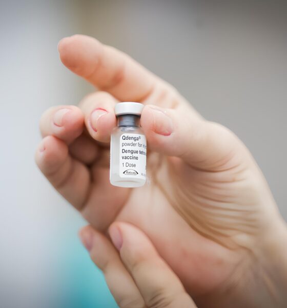 Hortolândia Contra a Dengue: Entre Vacinas, Mosquitos e Mortes – A Batalha Não Está Ganha! 10 Hortol ndia Contra a Dengue Entre Vacinas Mosquitos e Mortes A Batalha N o Est Ganha