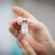Hortol ndia Contra a Dengue Entre Vacinas Mosquitos e Mortes A Batalha N o Est Ganha