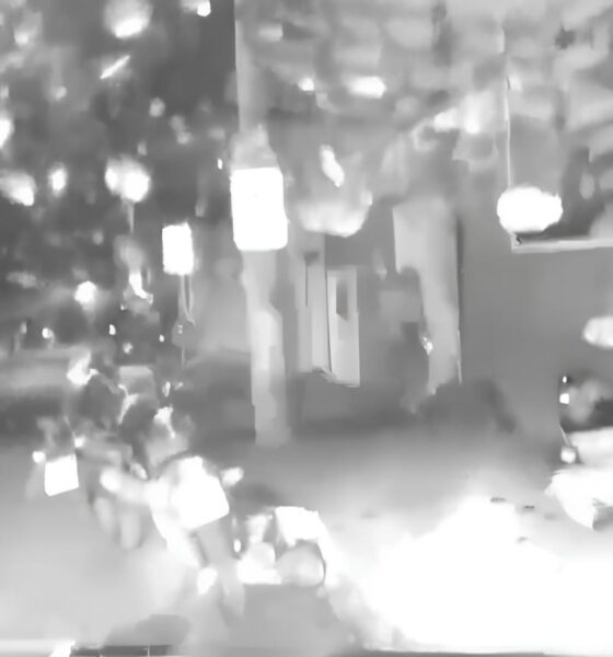 O Caso que Paralisou Indaiatuba: Adolescente em Estado Grave Após Acidente com Motociclista em Fuga 16 O Caso que Paralisou Indaiatuba Adolescente em Estado Grave Ap s Acidente com Motociclista em Fuga