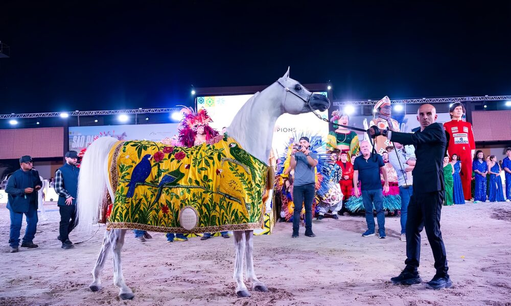 O Cavalo de Ouro que Conquistou o Mundo Como Tercio Miranda e o Haras Paiquer Elevaram o Brasil no Global Champions Arabians Tour
