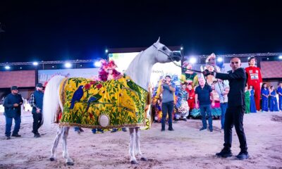 O Cavalo de Ouro que Conquistou o Mundo Como Tercio Miranda e o Haras Paiquer Elevaram o Brasil no Global Champions Arabians Tour
