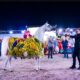 O Cavalo de Ouro que Conquistou o Mundo Como Tercio Miranda e o Haras Paiquer Elevaram o Brasil no Global Champions Arabians Tour