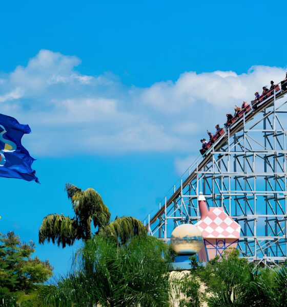 O Dia em Que o Hopi Hari Abriu Suas Portas de Graça: Quem Pode Entrar e Como Funciona a Nova Regra? 9 O Dia em Que o Hopi Hari Abriu Suas Portas de Gra a Quem Pode Entrar e Como Funciona a Nova Regra