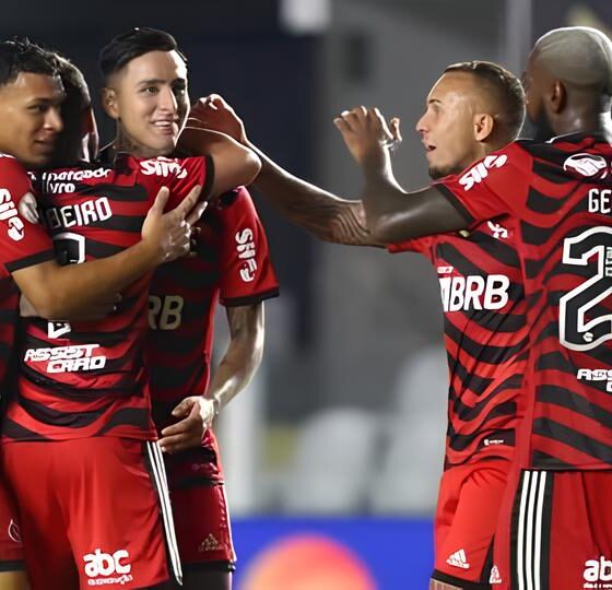 O Duelo Decisivo na Vila Belmiro: Santos x Flamengo Promete Incendiar o Brasileirão 16 O Duelo Decisivo na Vila Belmiro Santos x Flamengo Promete Incendiar o Brasileir o