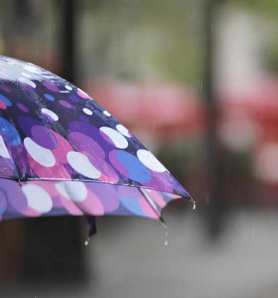 O Enigma Clim tico de Indaiatuba Como o Tempo Molda a Vida na Cidade Neste Domingo 20