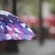 O Enigma Clim tico de Indaiatuba Como o Tempo Molda a Vida na Cidade Neste Domingo 20