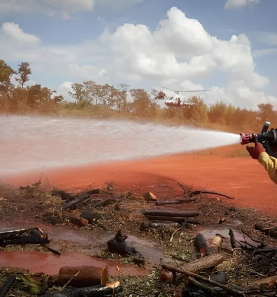 O Fogo Que Não Se Apaga: Como Campinas e Bragantina Estão Transformando a Luta Contra Incêndios Florestais em Um Movimento de Resistência Ecológica 16 O Fogo Que N o Se Apaga Como Campinas e Bragantina Est o Transformando a Luta Contra Inc ndios Florestais em Um Movimento de Resist ncia Ecol gica