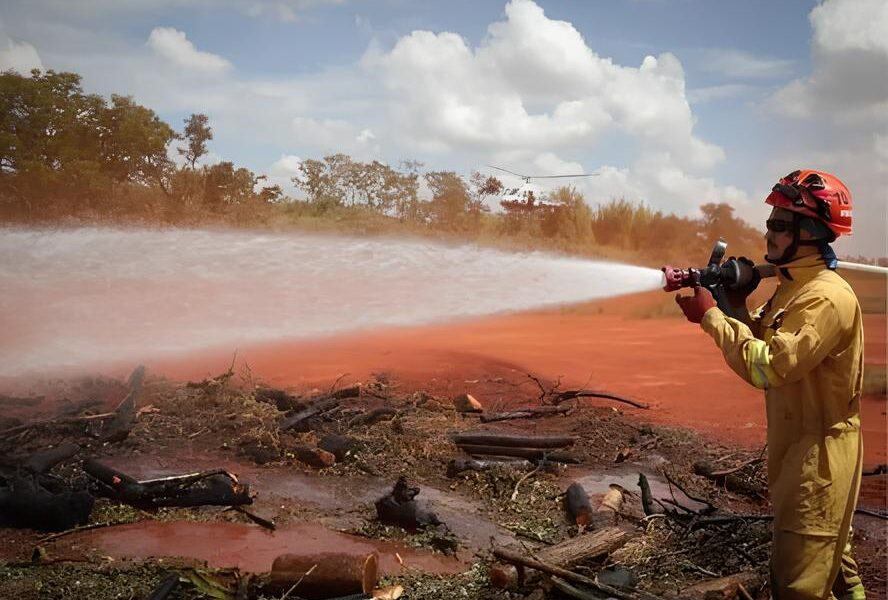 O Fogo Que N o Se Apaga Como Campinas e Bragantina Est o Transformando a Luta Contra Inc ndios Florestais em Um Movimento de Resist ncia Ecol gica
