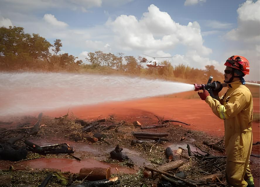 O Fogo Que Não Se Apaga: Como Campinas e Bragantina Estão Transformando a Luta Contra Incêndios Florestais em Um Movimento de Resistência Ecológica 15 O Fogo Que N o Se Apaga Como Campinas e Bragantina Est o Transformando a Luta Contra Inc ndios Florestais em Um Movimento de Resist ncia Ecol gica