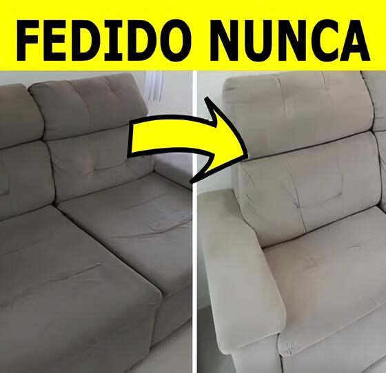 O Segredo Mortal Escondido em Um Sof Como a Pol cia Desvendou um Arsenal Oculto em Rio Claro