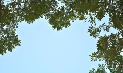 O Segredo do Clima de Indaiatuba Um Dia Agrad vel Pode Revelar Mais Sobre Nossa Vida do Que Imaginamos