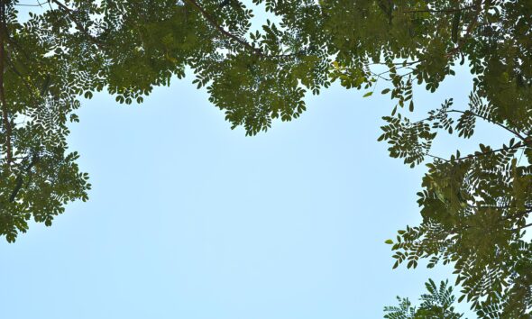 O Segredo do Clima de Indaiatuba Um Dia Agrad vel Pode Revelar Mais Sobre Nossa Vida do Que Imaginamos