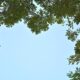 O Segredo do Clima de Indaiatuba Um Dia Agrad vel Pode Revelar Mais Sobre Nossa Vida do Que Imaginamos