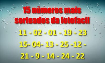 Os N meros da Sorte Lotof cil 3436 Revela os 15 D gitos que Podem Mudar Vidas para Sempre